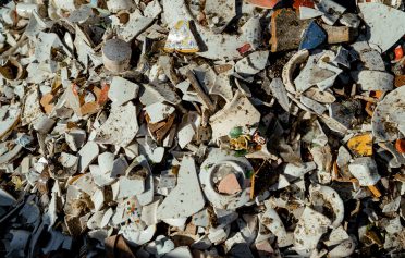 Immagine rappresentativa