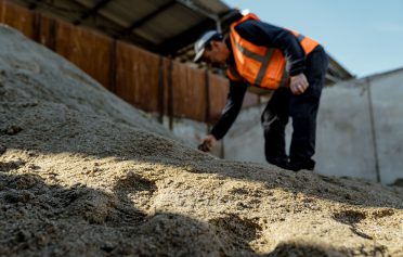 Immagine rappresentativa