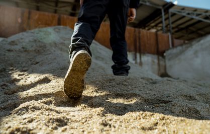 Immagine rappresentativa